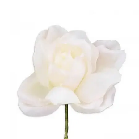 Ivory Spray Rose Boutonniere Buttonhole Flower Fort Belvedere