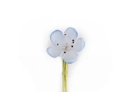 Light Blue Veronica Persica Boutonniere Buttonhole Flower