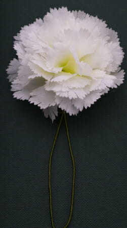 A white boutonniere like this carnation became an appropriate accessory in the Edwardian era