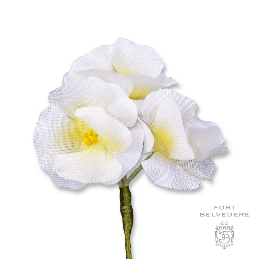 white phlox boutonniere by Fort Belvedere