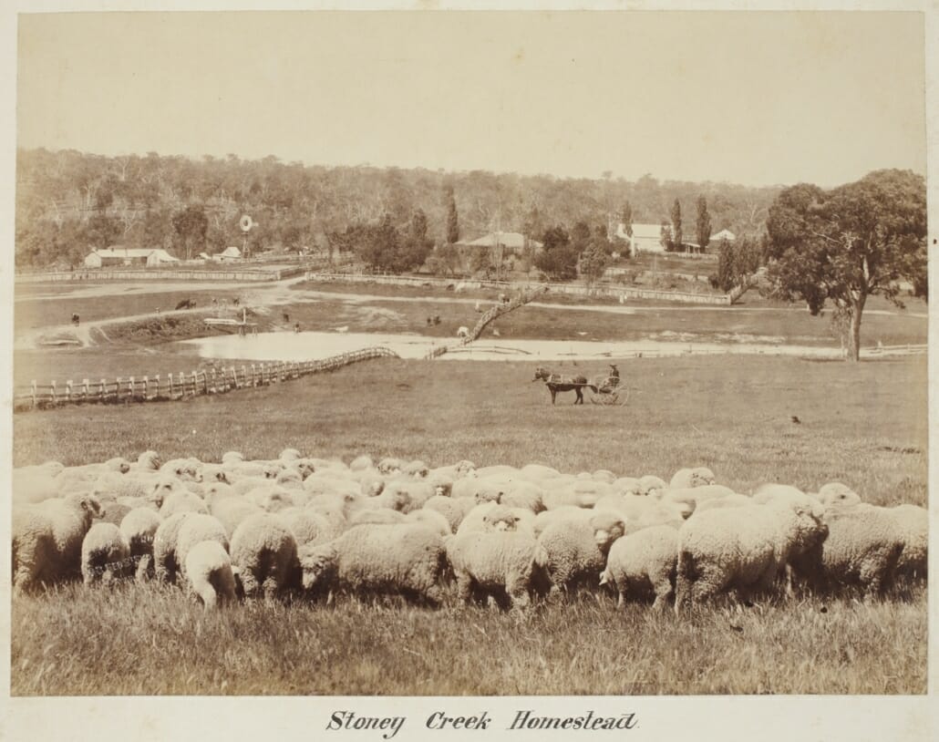 Australian Sheep Station Australian sheep station