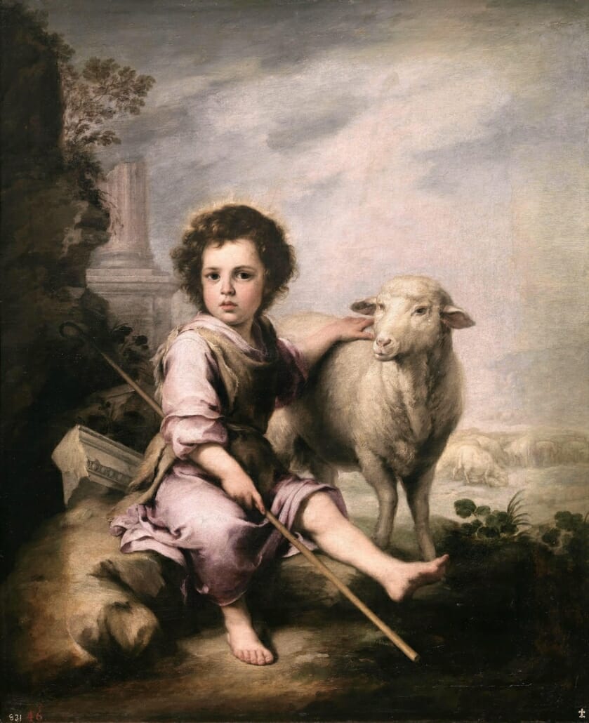 One of the earliest depictions of a merino sheep by the spanish artist Murillo in 1650