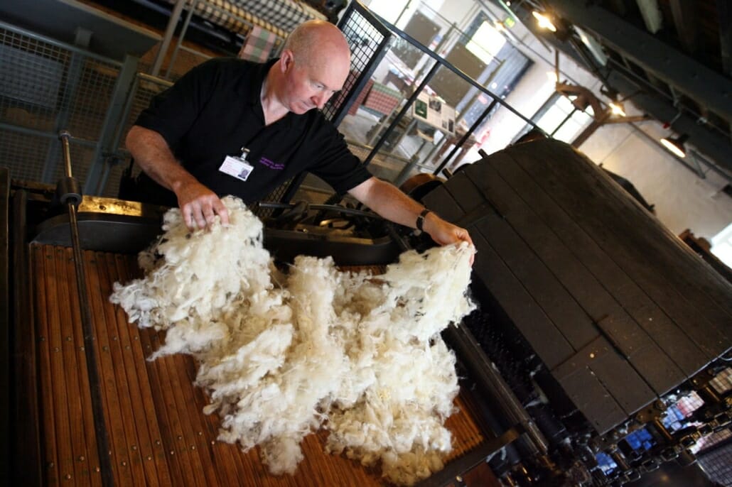 Sorting raw wool