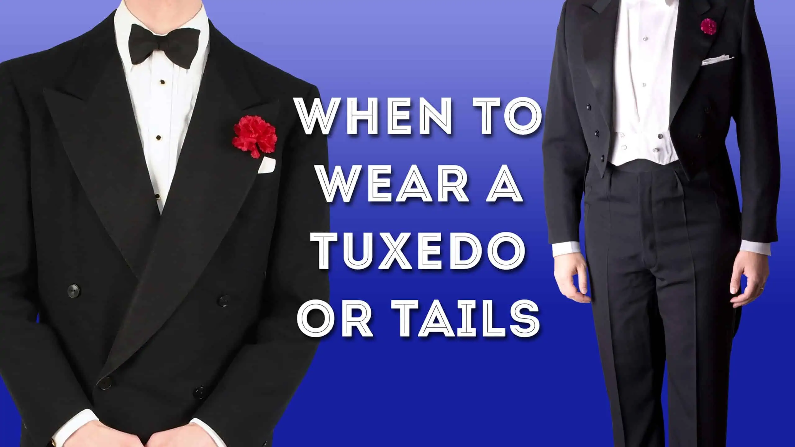 tuxedo or tails 3840x2160 scaled