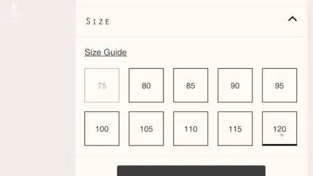 A screenshot from the Hermes website showing the various belt sizes available