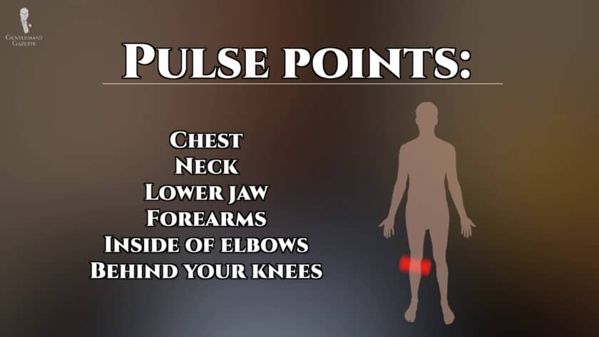 A diagram showing the pulse points