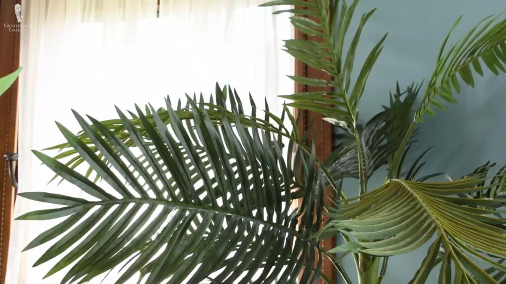 The green leaves of the palm tree will add freshness to any room.