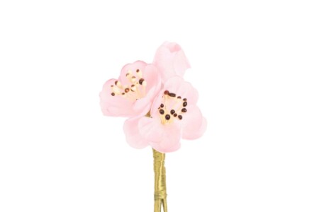 Pink Triple Almond Blossom Boutonniere Buttonhole Flower