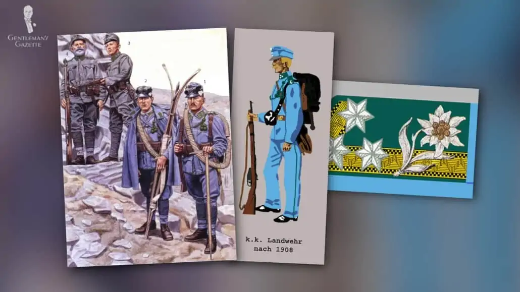 Different illustrations of various groups that used edelweiss as a symbol.