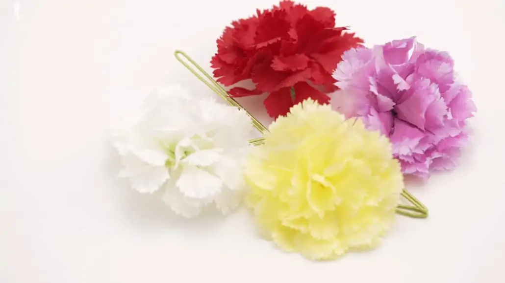 FB Carnation Boutonnieres