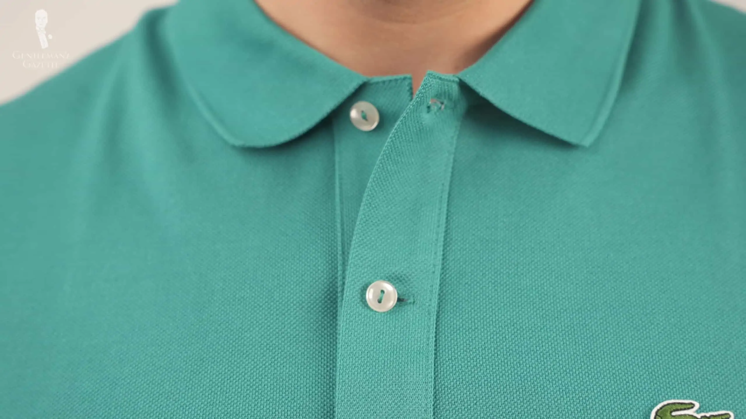 beproeving Plicht koffer Lacoste Polo Shirt: Is It Worth It? (In-Depth Review)