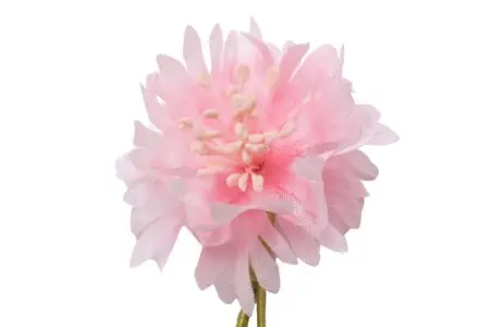 Pink Cornflower Boutonniere Buttonhole Flower Fort Belvedere