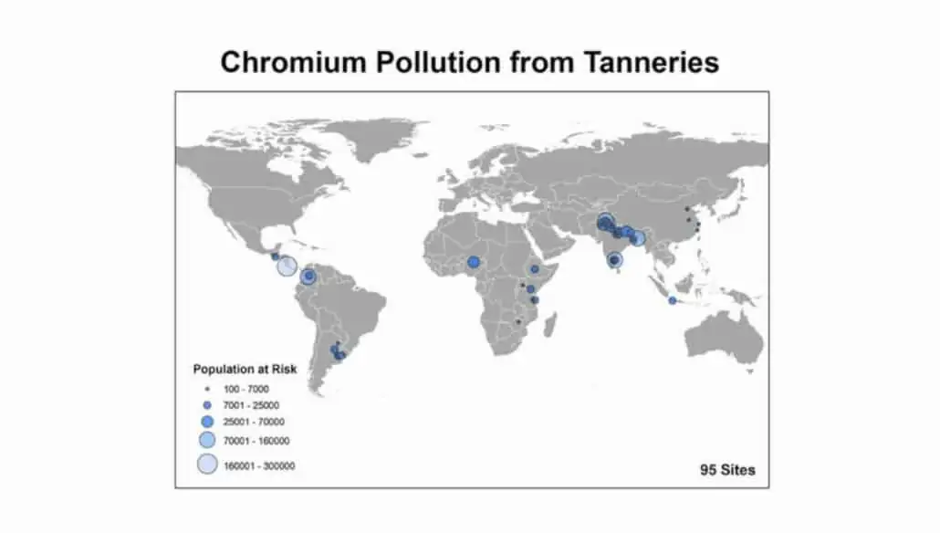 Chromium pollution from leather tanneries pose risks to the environment and to people.