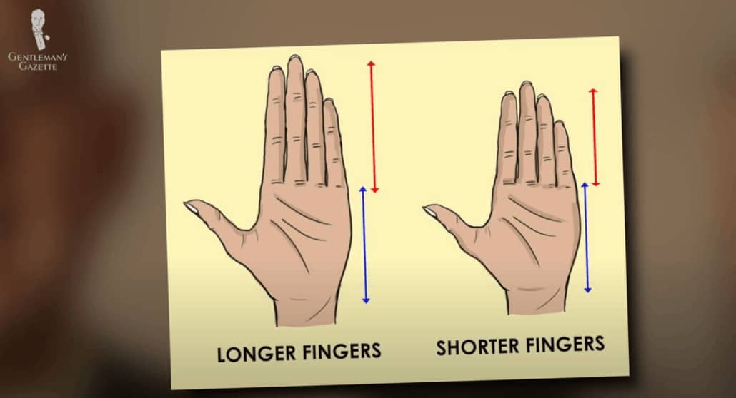 Longer Fingers Vs Shorter Fingers Know your fingers' size to get the right fit.