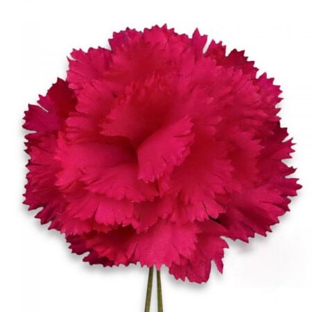 A photo of a Dark Red Carnation Boutonniere Fort Belvedere