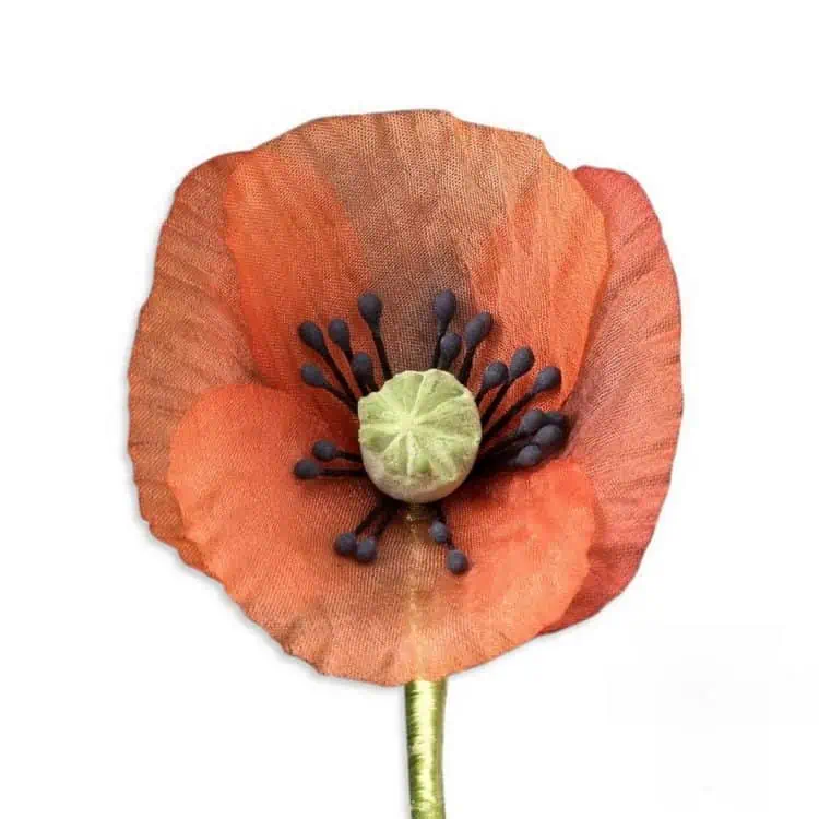 Orange Poppy Boutonniere Small by Fort Belvedere