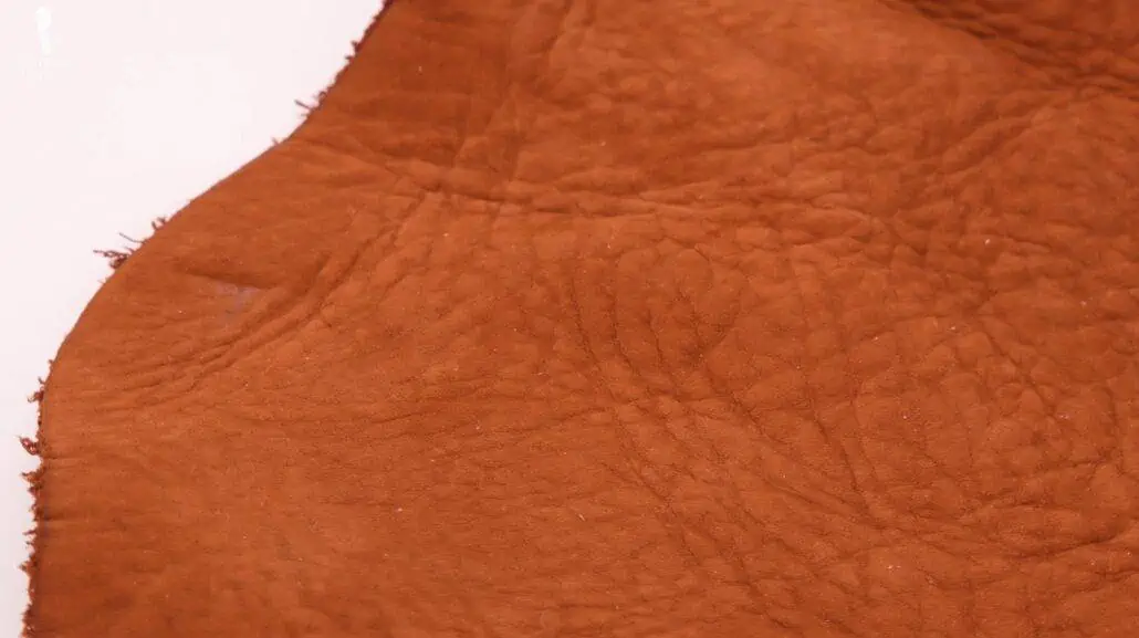 Aniline-dyed leather