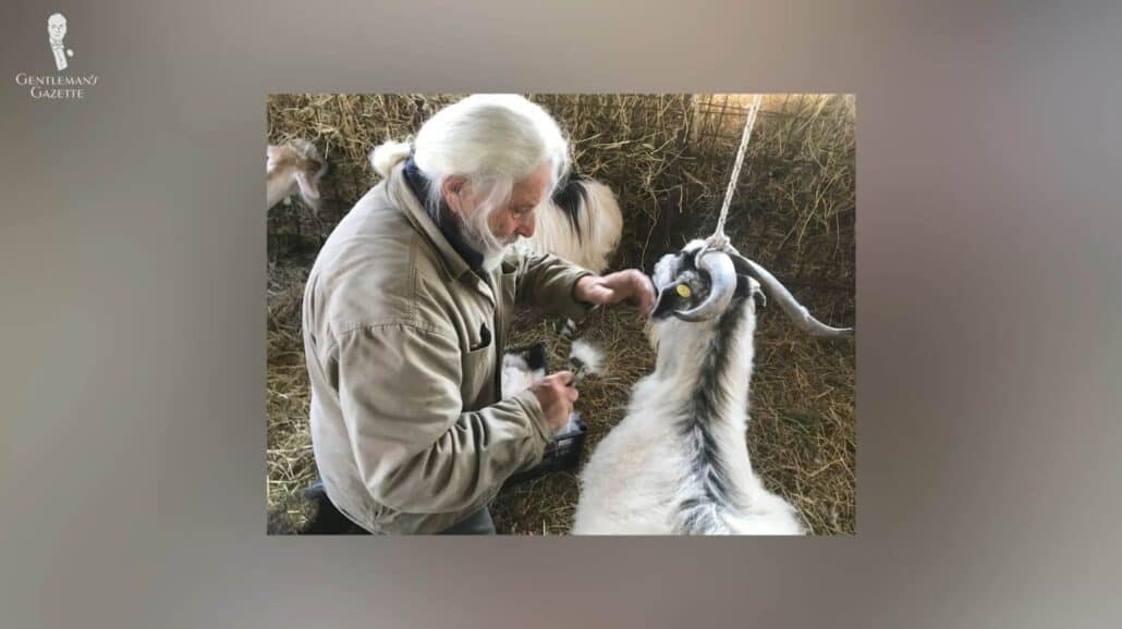 Comb Harvested Cashmere Comb-harvested cashmere results in a smoother texture.