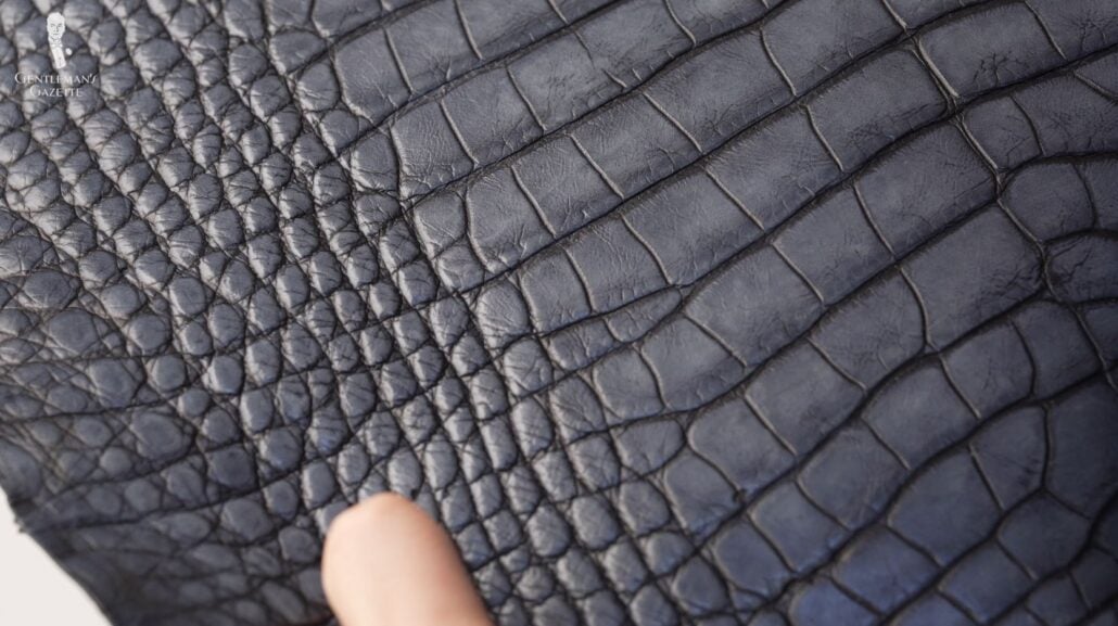 difference between alligator and crocodile skin