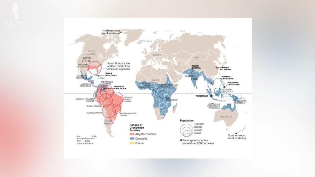 A map showing the ranges of specific crocodilian species and their population densities [Image Credit: National Geographic]