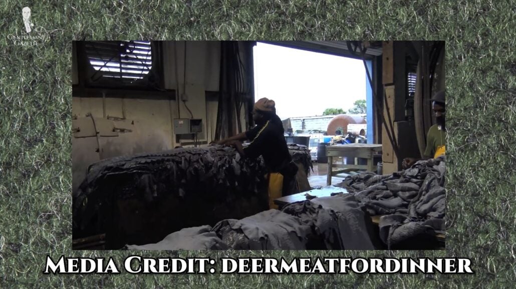 Softening descaled hides [Image Credit: Deermeatfordinner]