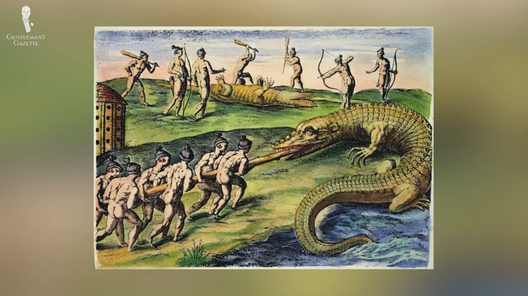 The Timucua tribesmen hunting crocodiles, a famous engraving by Theodore De Bry in 1591 [Image Credit: The Granger Collection, NY]
