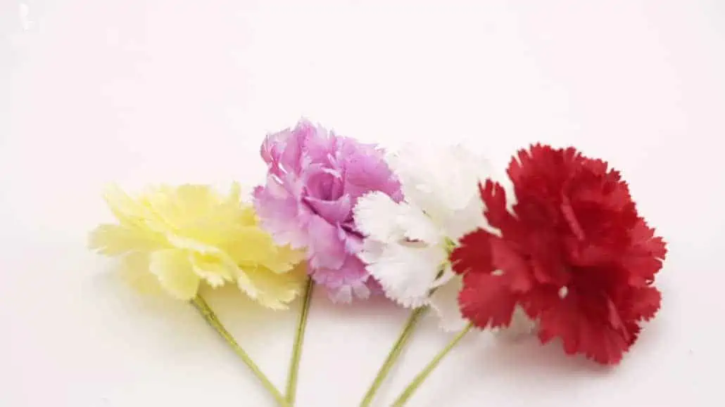 Carnation Boutonnieres