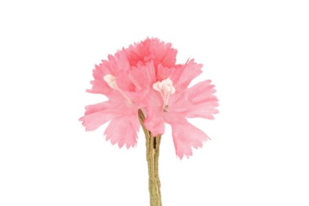Pink Triple Clove Boutonniere Buttonhole Flower