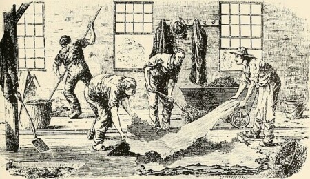 An illustration of cordwainers working on leather hides in the 19th Century