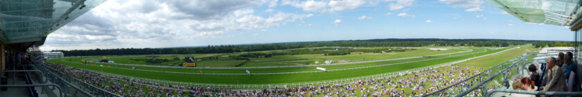 A view of the Ascot Racecourse from the stands. [Image Credit: Wikimedia.]