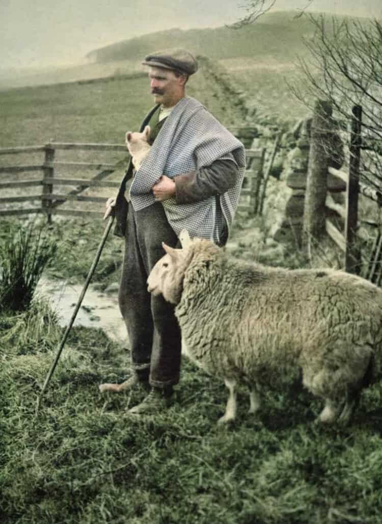 A shepherds check cloak in action