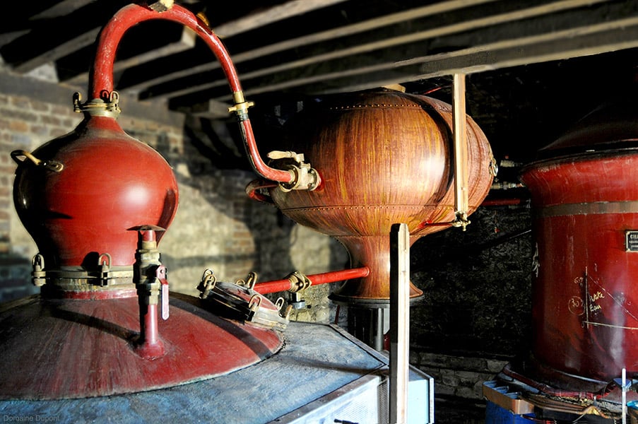 Ciders being aged in casks