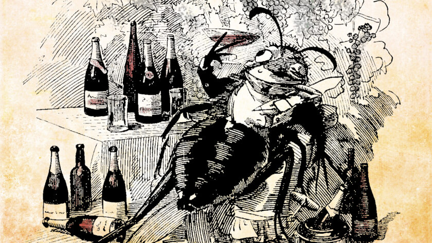 A cartoon showing a bug drunk on wine