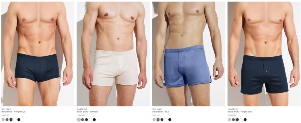 Screenshot of Zimmerli website 