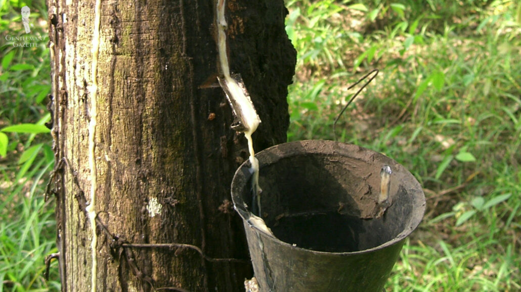Best-performing rubbers come from gum rubber that is made from rubber trees.