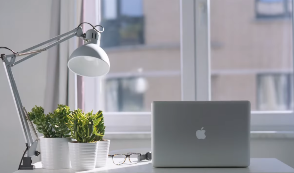 Greenery objects improve ones mood when working.