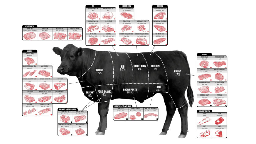 Infographic displaying beef cuts
