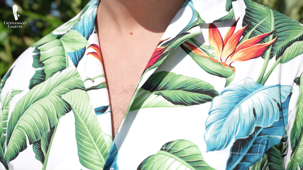 Close up shot of Raphael wearing a Hawaiian Shirt