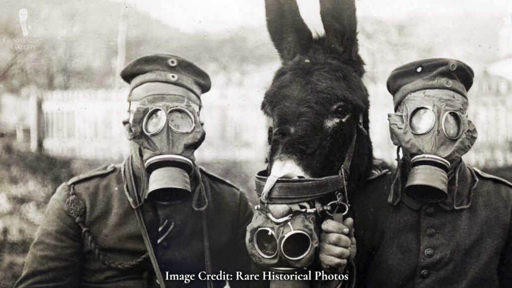Putting on gas masks with large facial hair became difficult.