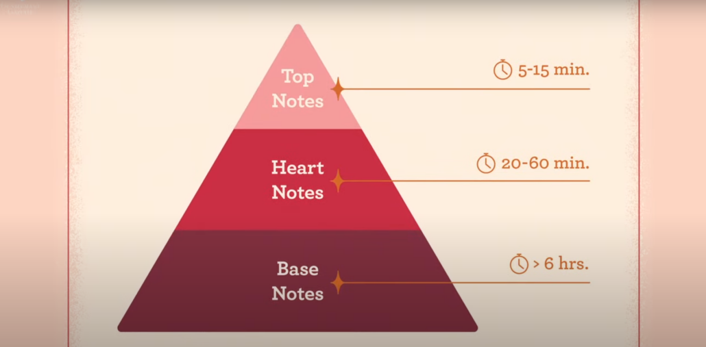 Top notes to know when determining your perfume fragrant