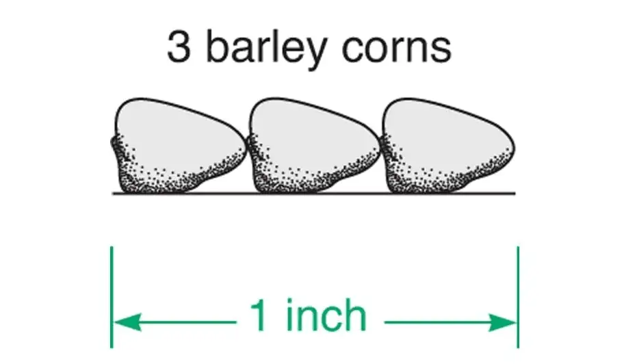 UK Barleycorn System