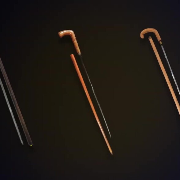 Sword canes