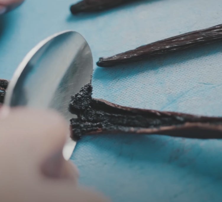 fresh vanilla beans gourmet baking and using a spoon to scrape seeds from a fresh vanilla pod on a blue cutting board