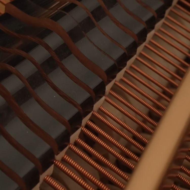 Detailed view of the internal wool felt hammers of a piano, a common but often overlooked food source for clothes moths.