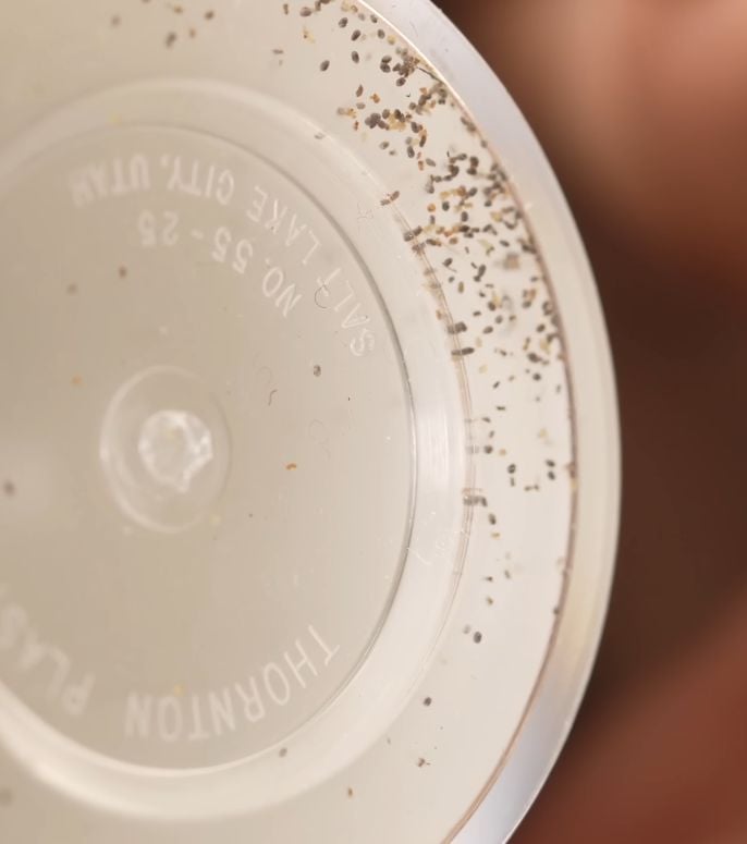 Macro shot of thousands of tiny, dark Trichogramma wasp eggs/pupae inside a clear plastic shipping container from Arbico Organics.